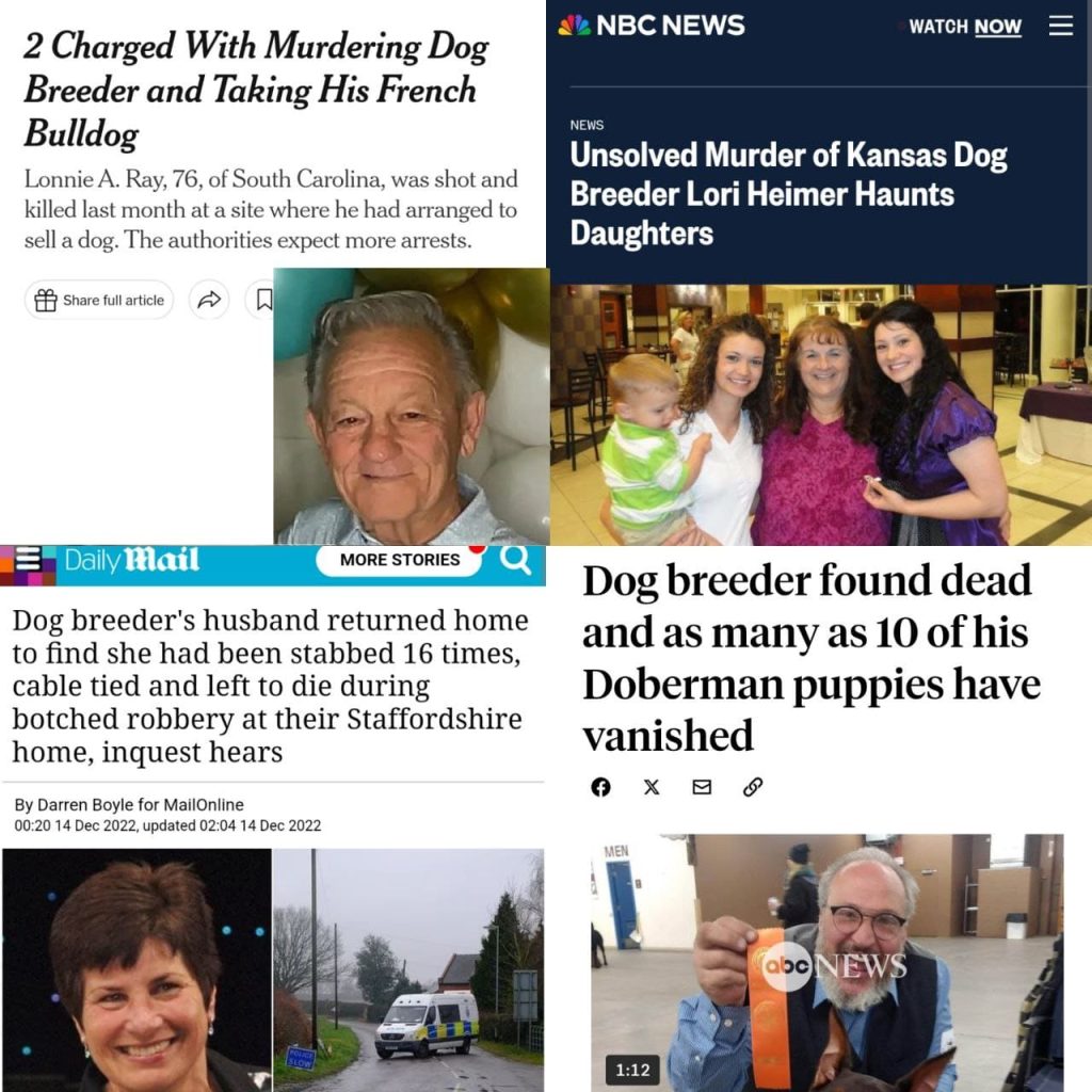 This image has an empty alt attribute; its file name is News-min-1024x1024.jpg