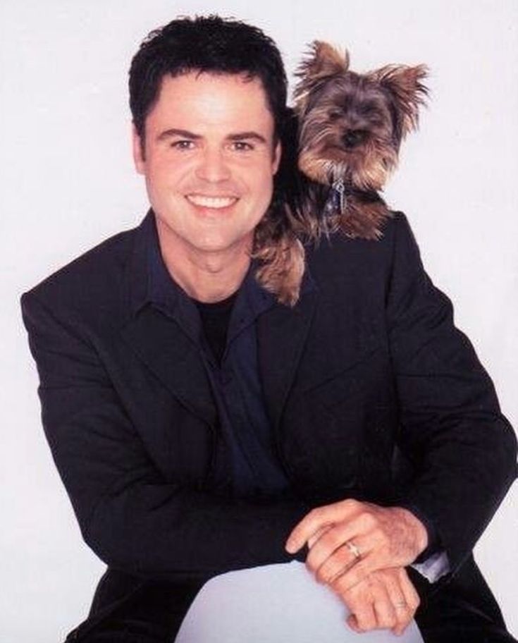 Donny-Osmond-and-his-Yorkie.jpg Donny-Osmond-and-his-Yorkie.jpg